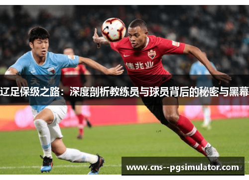 辽足保级之路：深度剖析教练员与球员背后的秘密与黑幕