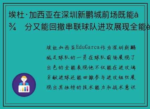 埃杜·加西亚在深圳新鹏城前场既能得分又能回撤串联球队进攻展现全能表现